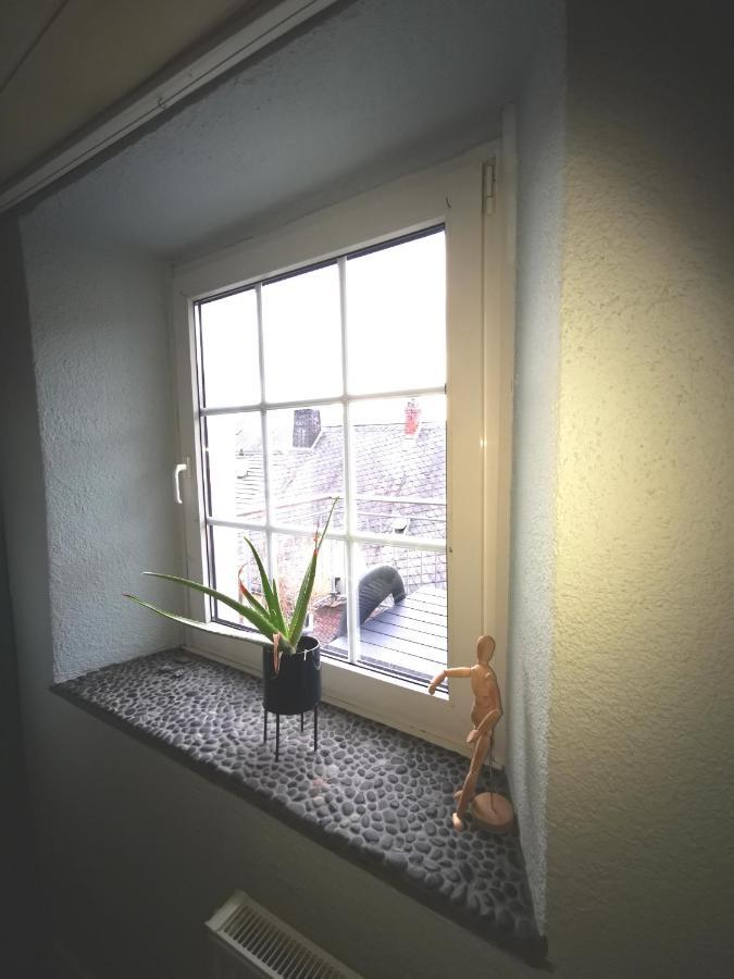 Mooi Ruim Appartement In Antieke Stadsboerderij Schönecken Esterno foto