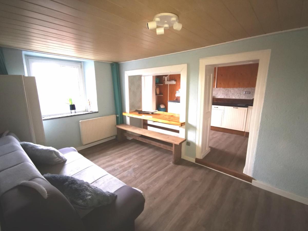 Mooi Ruim Appartement In Antieke Stadsboerderij Schönecken Esterno foto