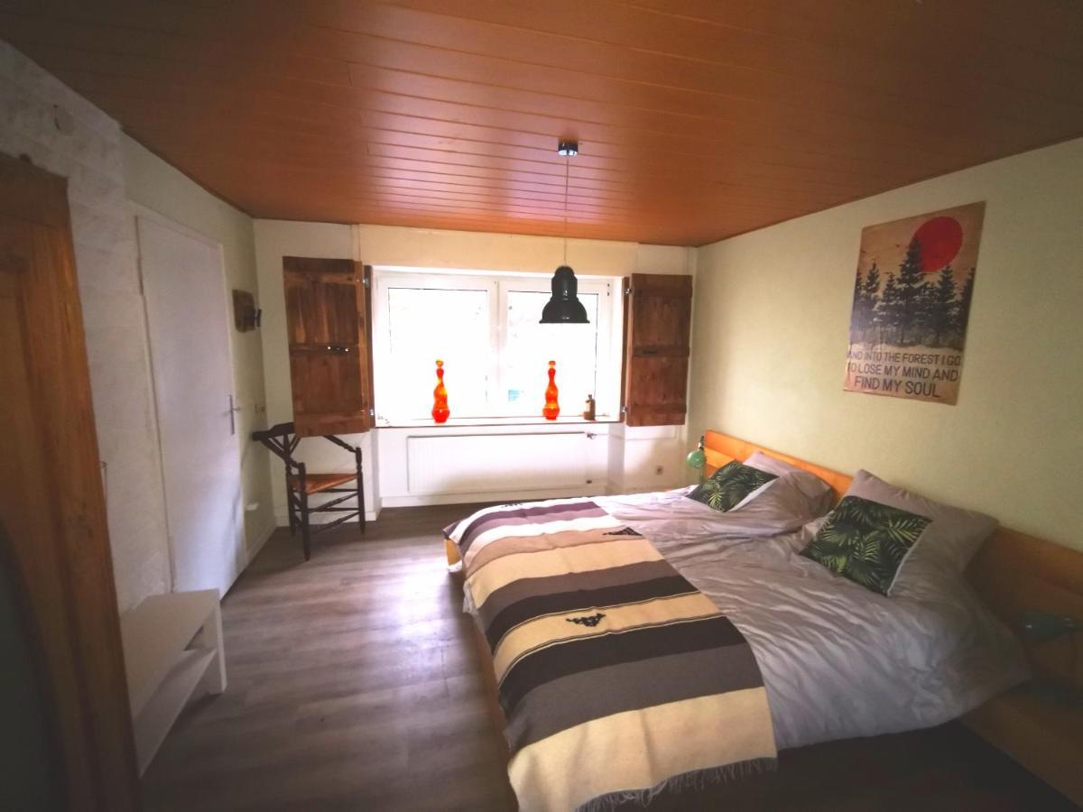 Mooi Ruim Appartement In Antieke Stadsboerderij Schönecken Esterno foto