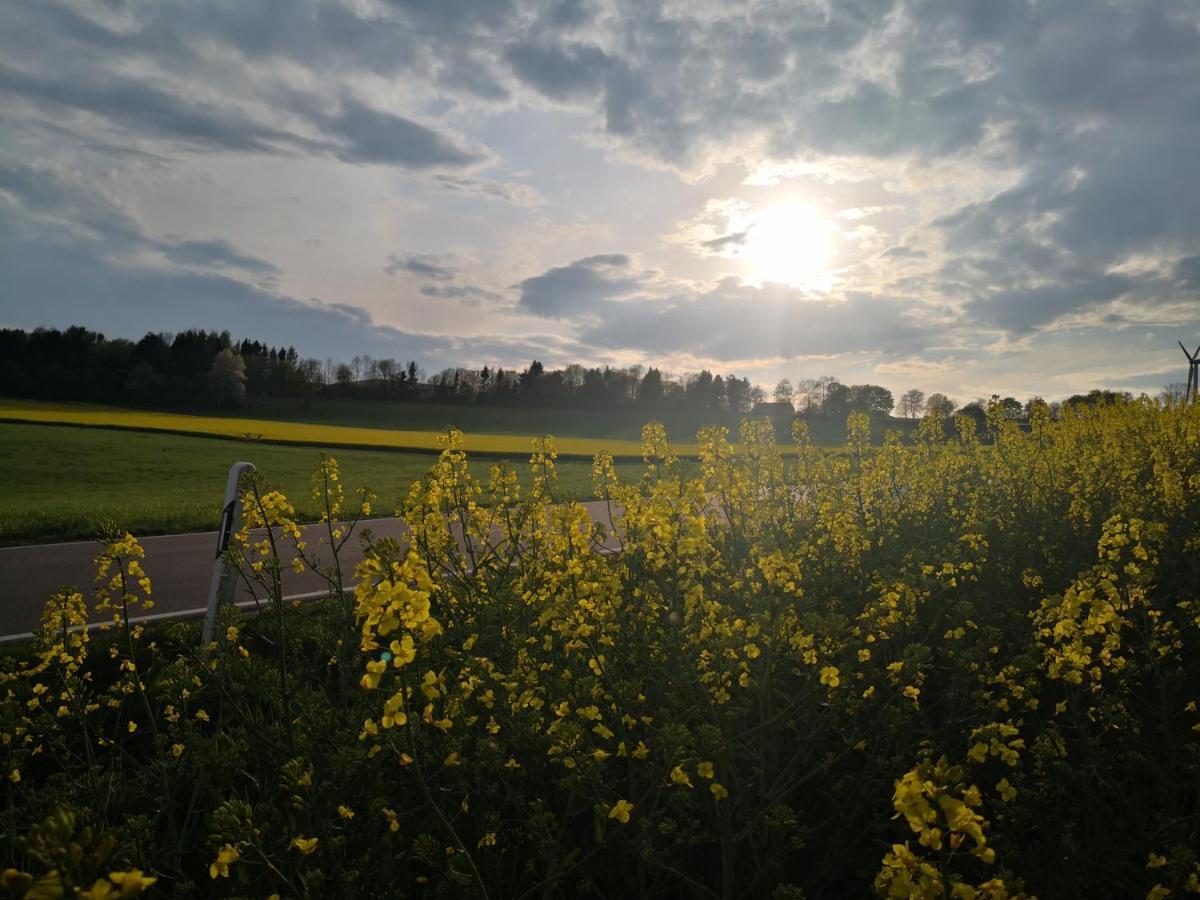Mooi Ruim Appartement In Antieke Stadsboerderij Schönecken Esterno foto