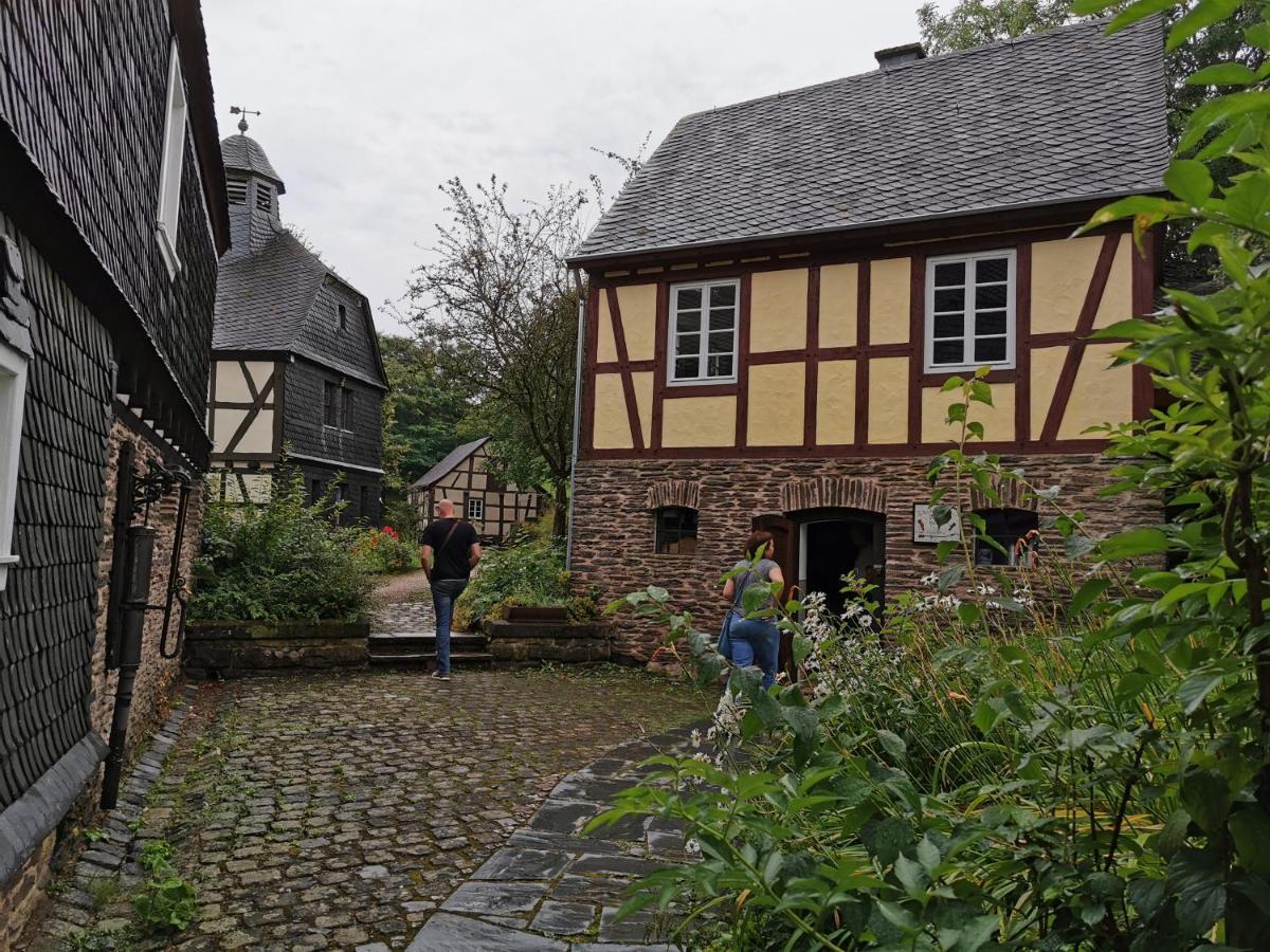 Mooi Ruim Appartement In Antieke Stadsboerderij Schönecken Esterno foto