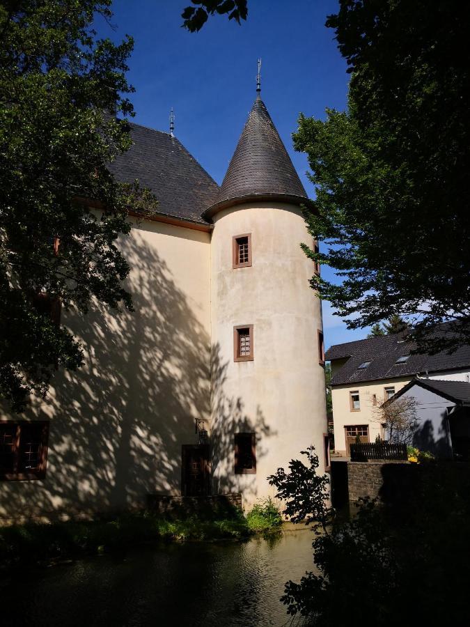 Mooi Ruim Appartement In Antieke Stadsboerderij Schönecken Esterno foto