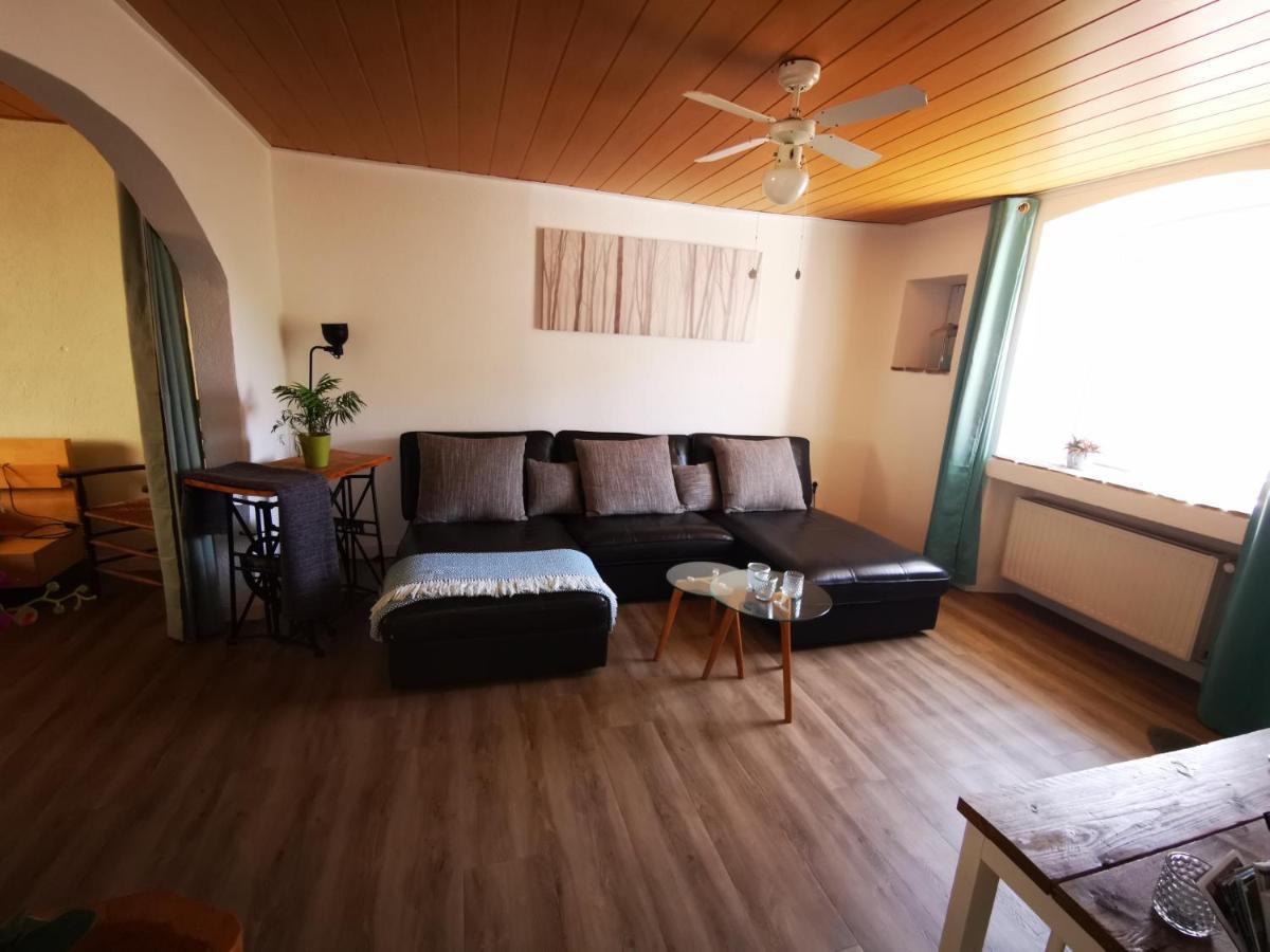 Mooi Ruim Appartement In Antieke Stadsboerderij Schönecken Esterno foto